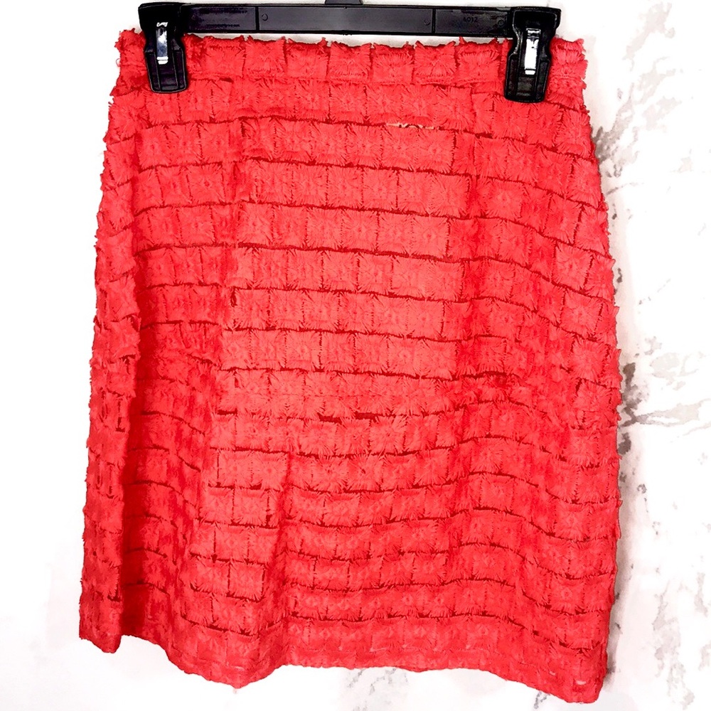 NWT Douuod paolo pencil skirt sheer